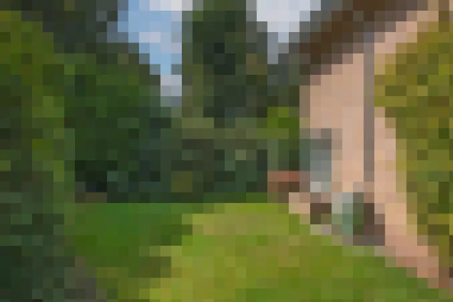 Bijenlaan 4 Weerselo thumbnail 32