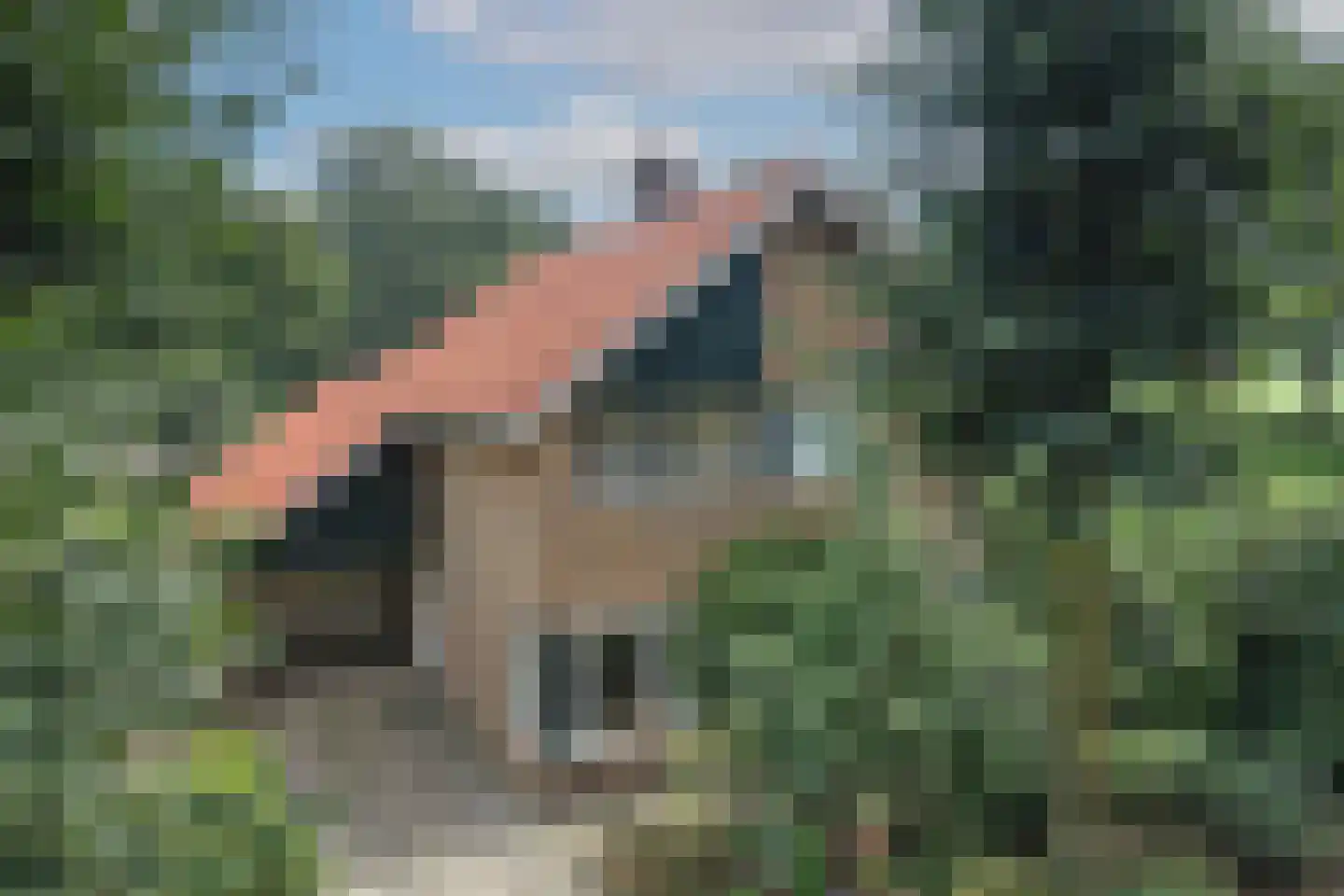 Bijenlaan 4 Weerselo thumbnail 33