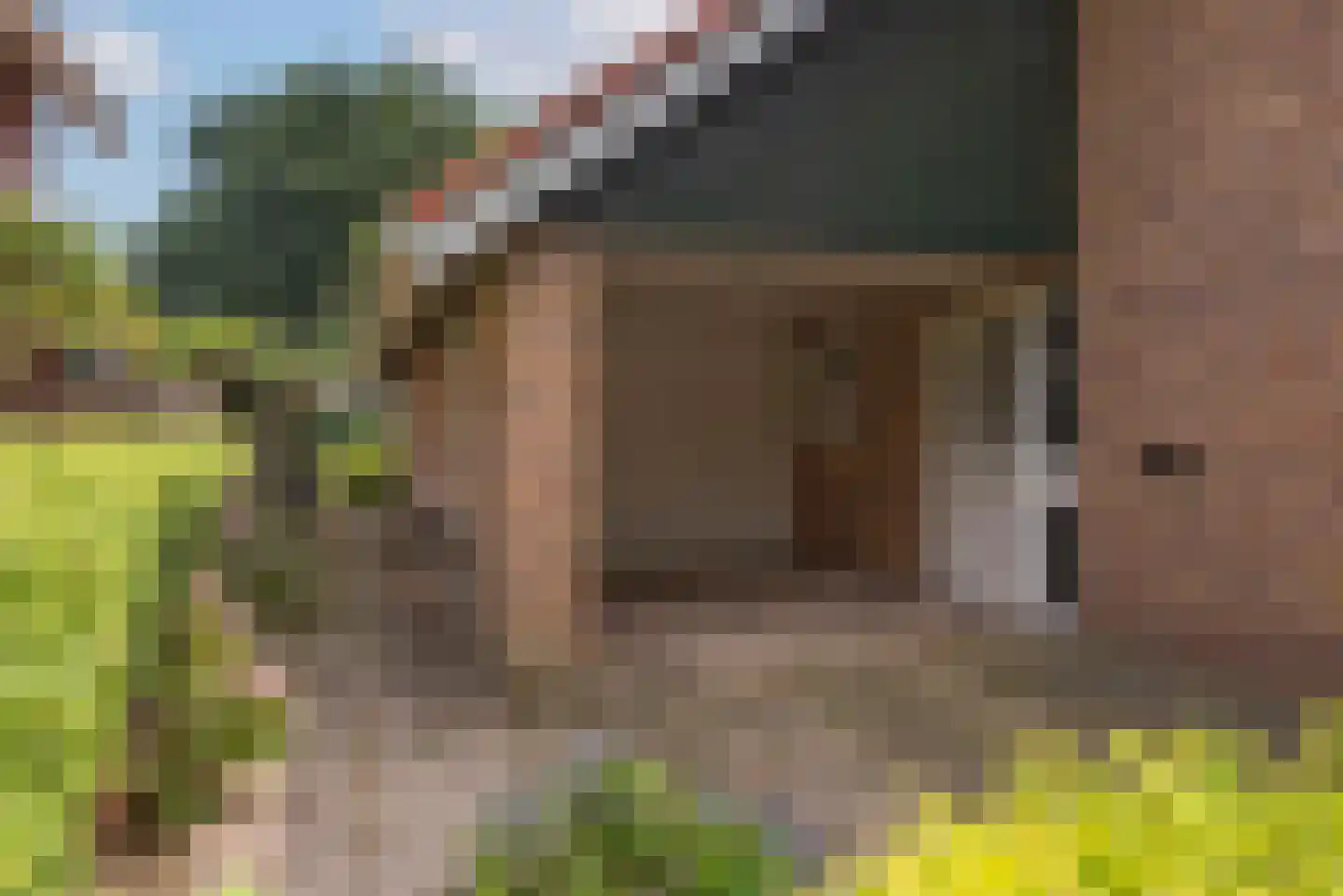 Bijenlaan 4 Weerselo thumbnail 34