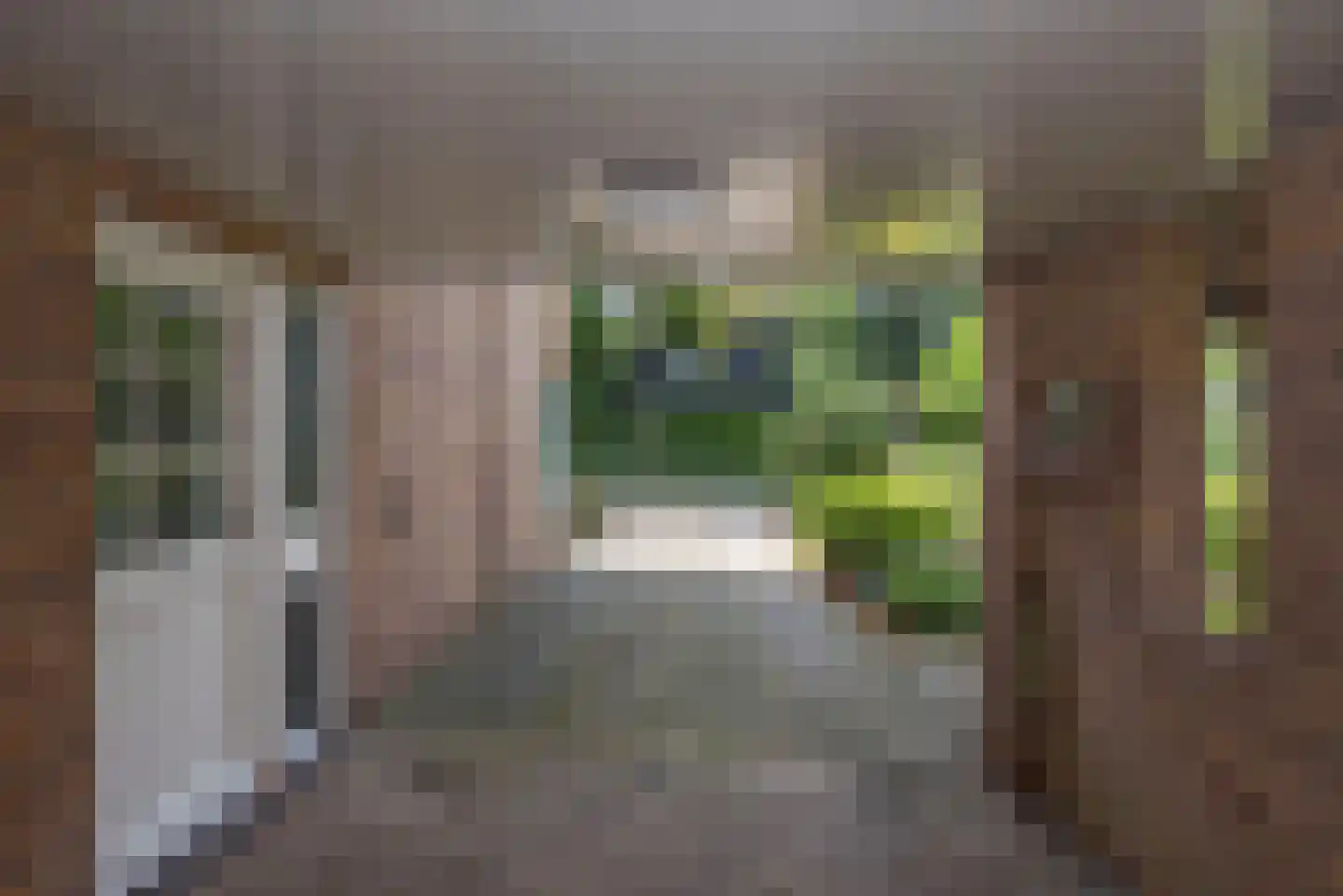Bijenlaan 4 Weerselo thumbnail 35