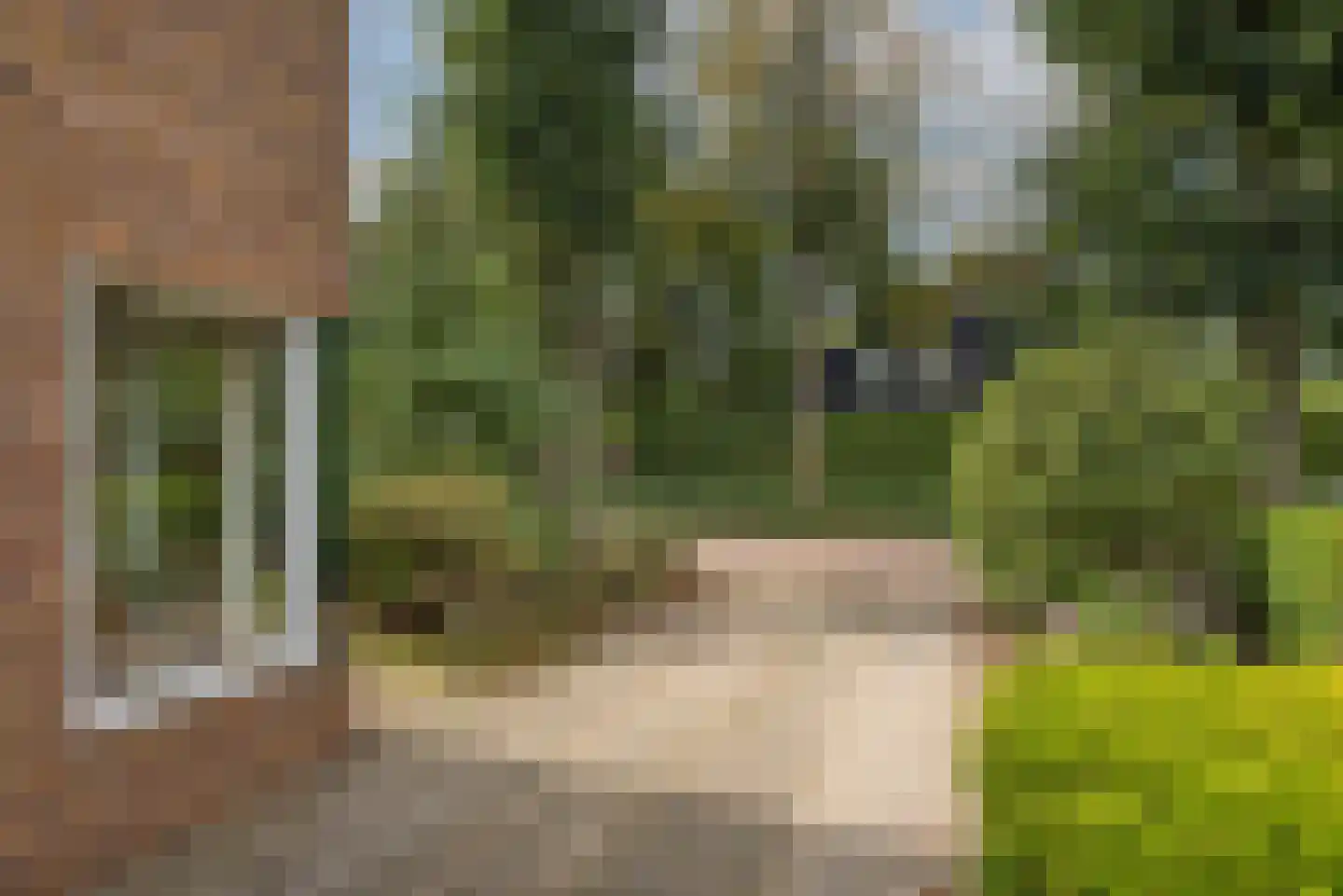 Bijenlaan 4 Weerselo thumbnail 36
