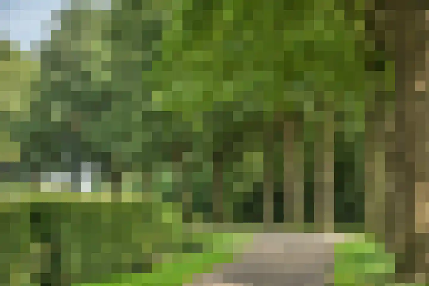 Bijenlaan 4 Weerselo thumbnail 37