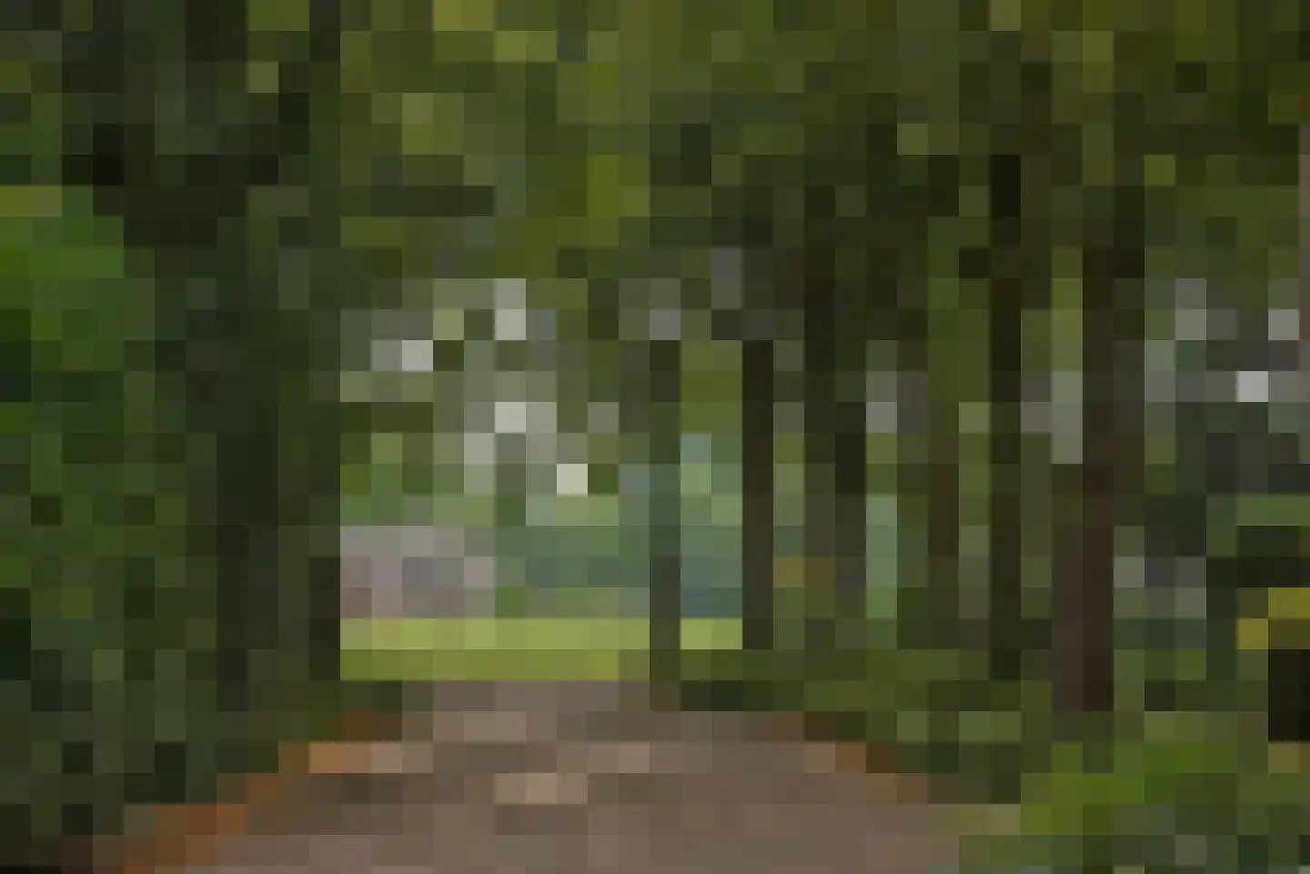 Bijenlaan 4 Weerselo thumbnail 38