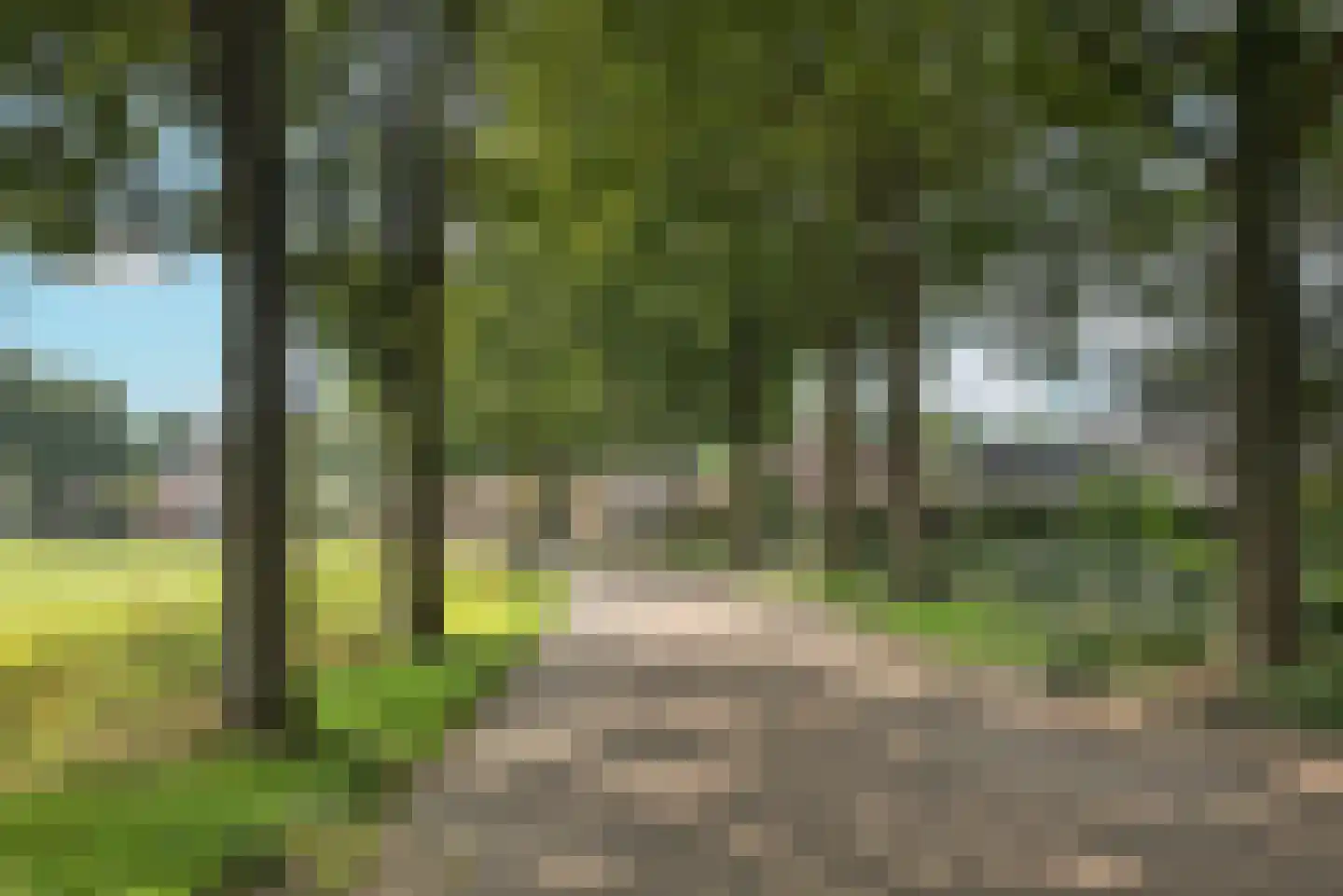 Bijenlaan 4 Weerselo thumbnail 39