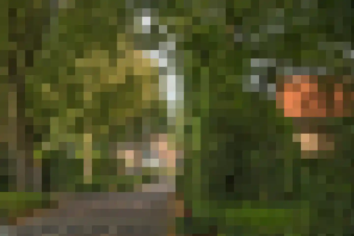 Bijenlaan 4 Weerselo thumbnail 40