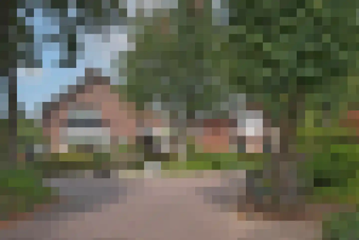 Bijenlaan 4 Weerselo thumbnail 41