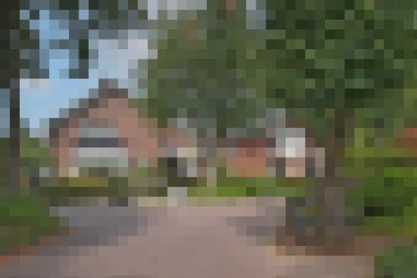 Bijenlaan 4 Weerselo thumbnail 41