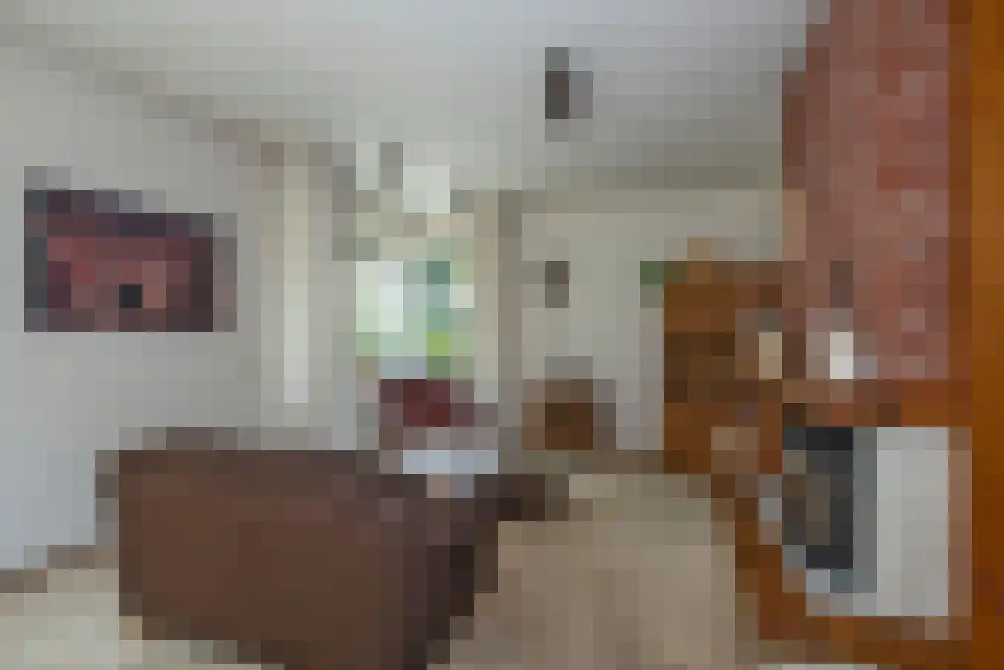 Bijenlaan 4 Weerselo thumbnail 7