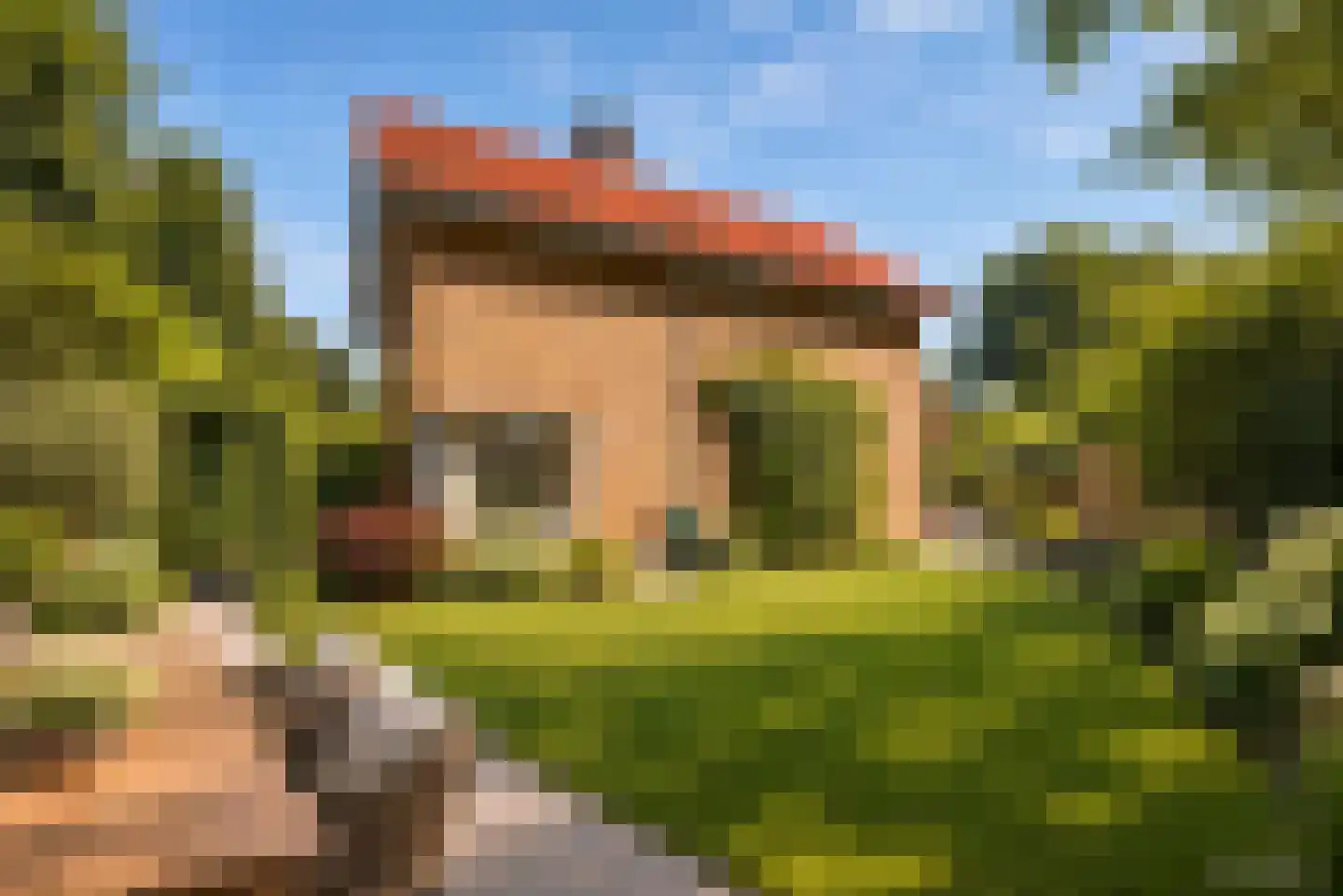 Bijenlaan 4 Weerselo thumbnail 7