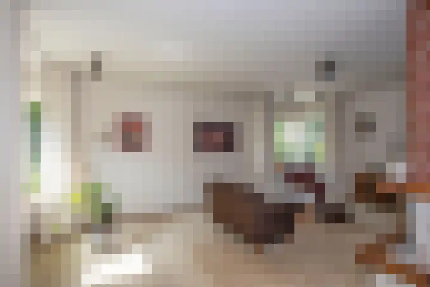 Bijenlaan 4 Weerselo thumbnail 8