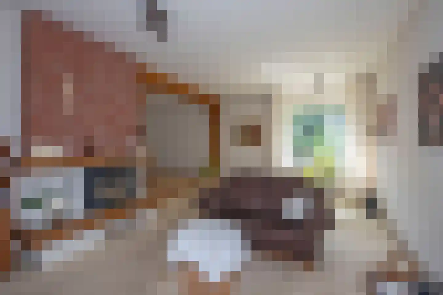 Bijenlaan 4 Weerselo thumbnail 9