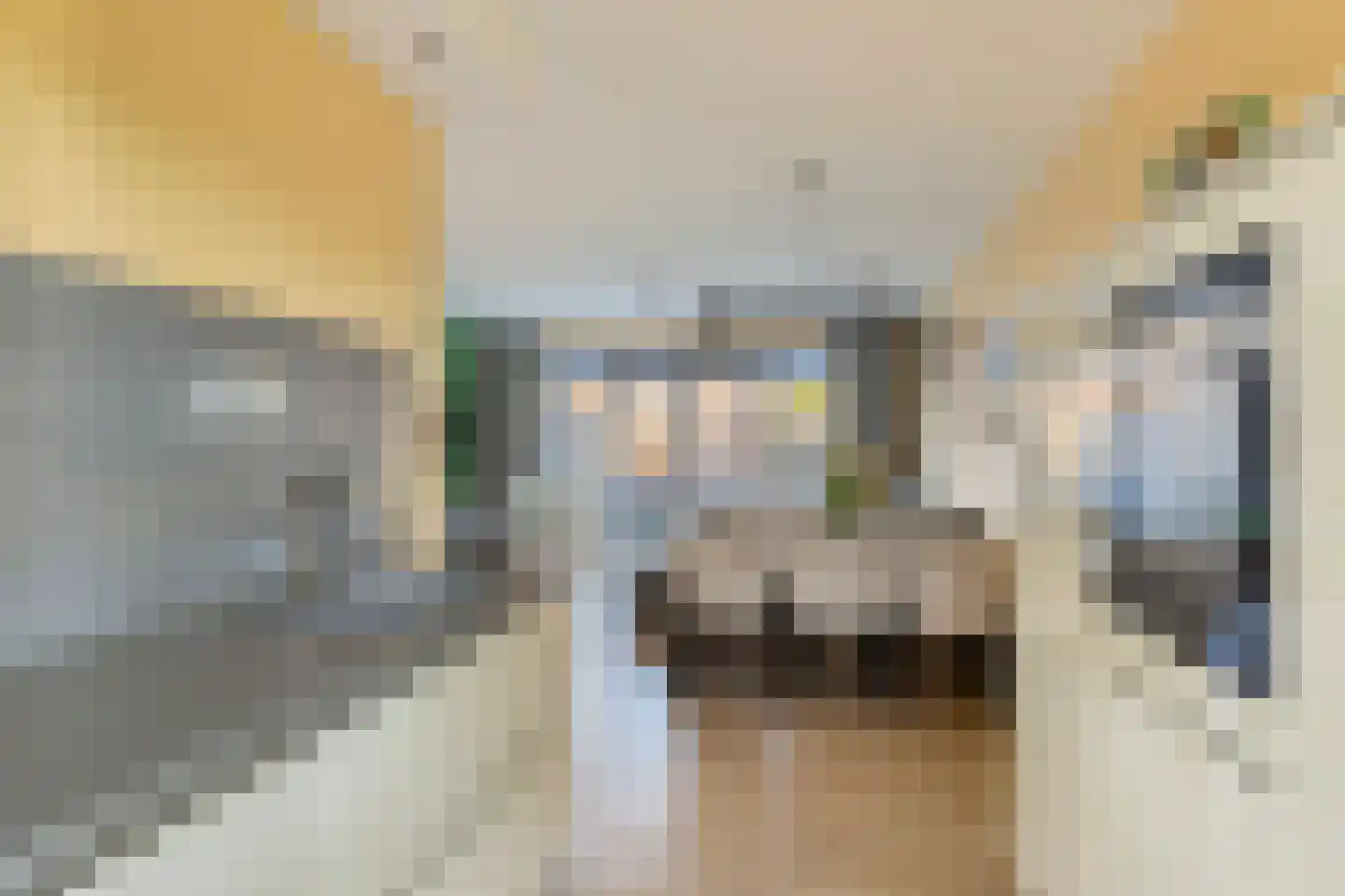 Bijenlaan 44 Son en Breugel thumbnail 11