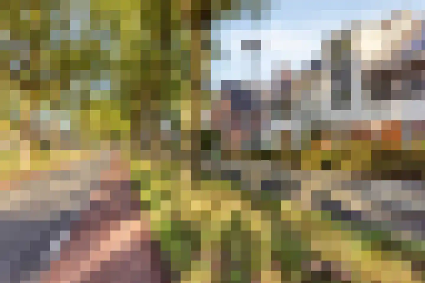 Bijenlaan 44 Son en Breugel thumbnail 33