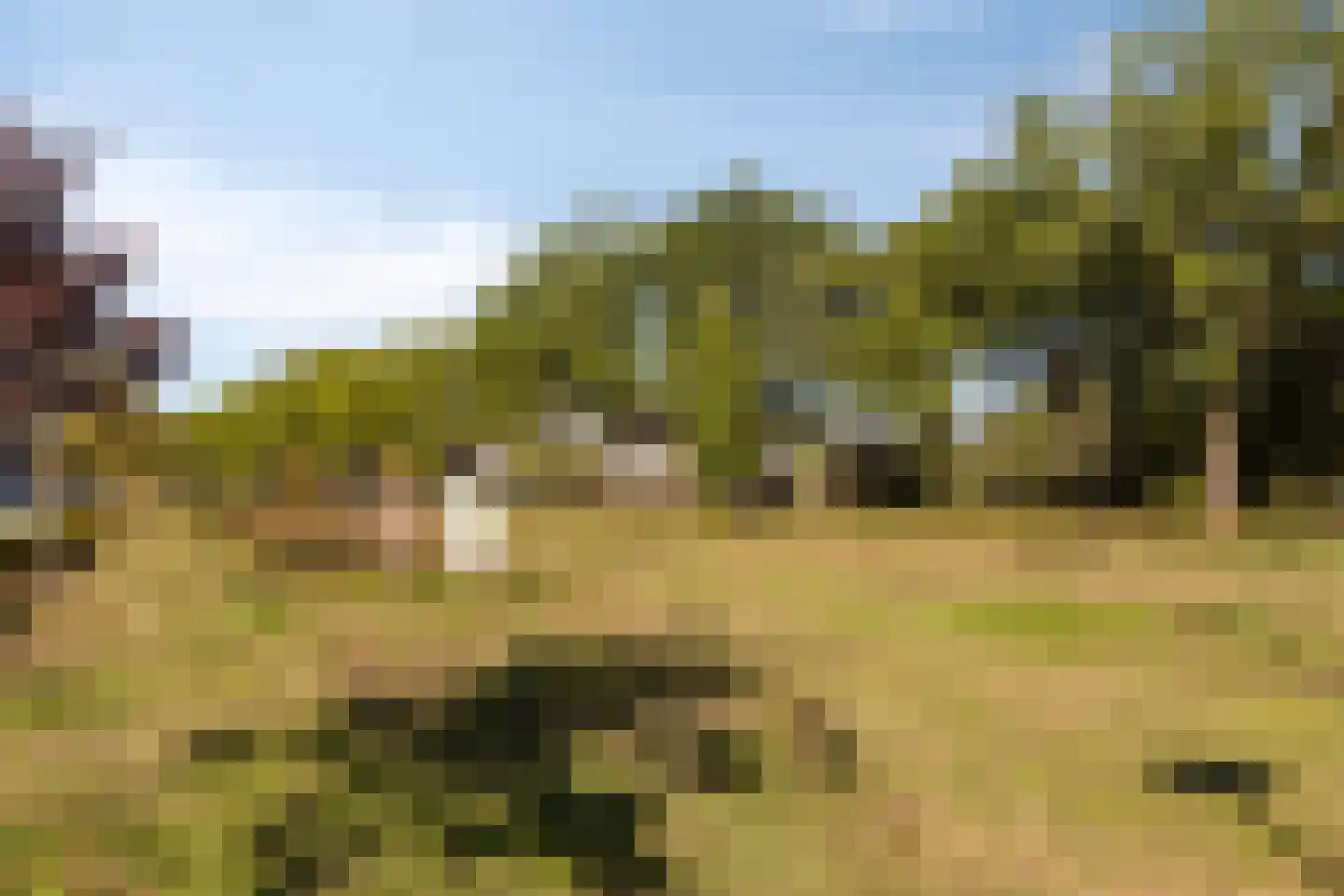 Bijenlaan 44 Son en Breugel thumbnail 35