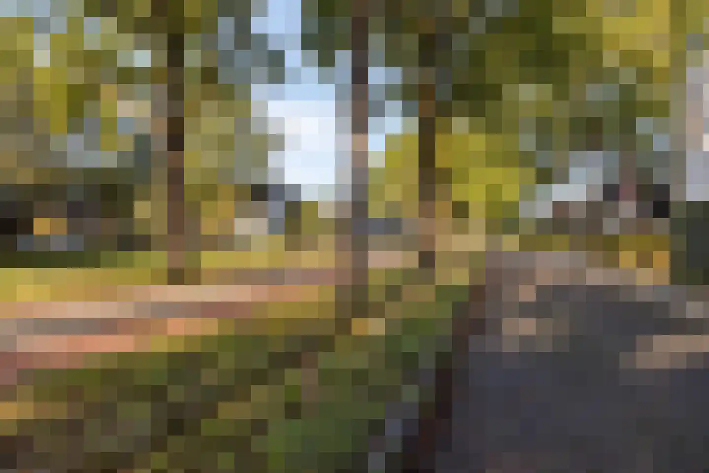 Bijenlaan 44 Son en Breugel thumbnail 36