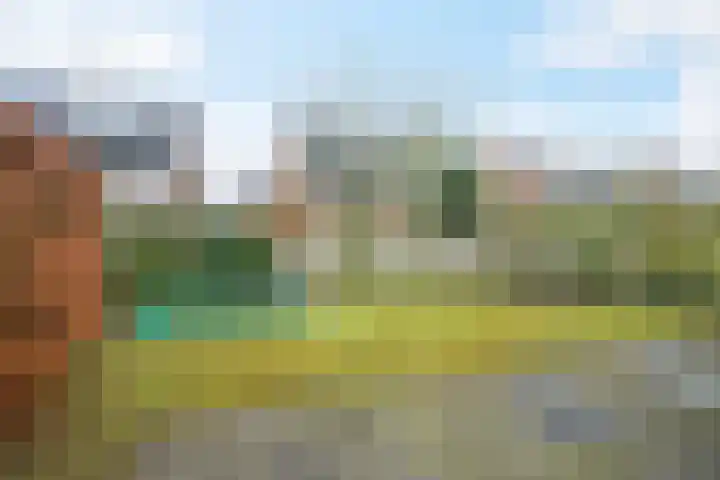 Bijenlaar 20 Bavel thumbnail 28