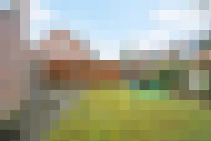 Bijenlaar 20 Bavel thumbnail 29