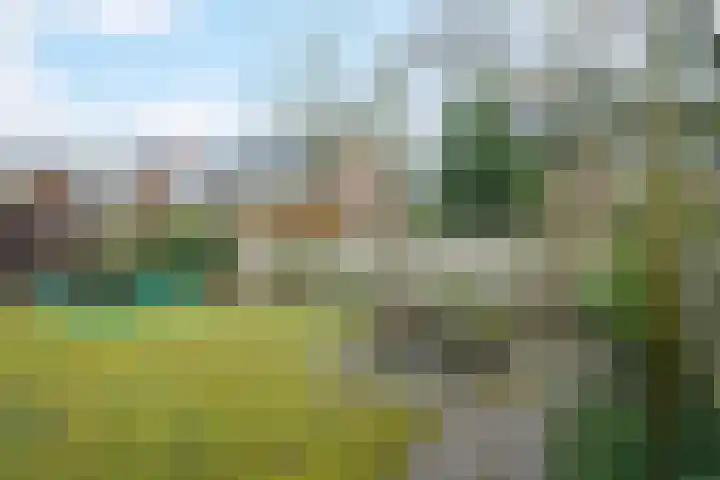 Bijenlaar 20 Bavel thumbnail 30