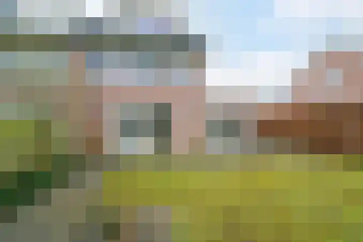 Bijenlaar 20 Bavel thumbnail 31
