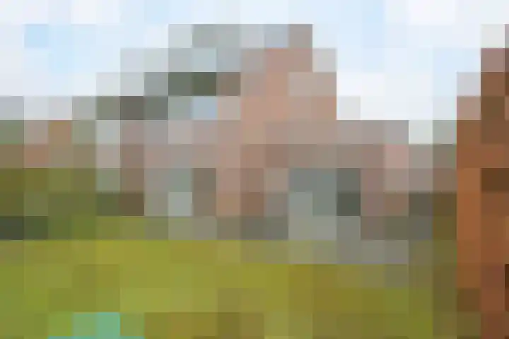 Bijenlaar 20 Bavel thumbnail 32