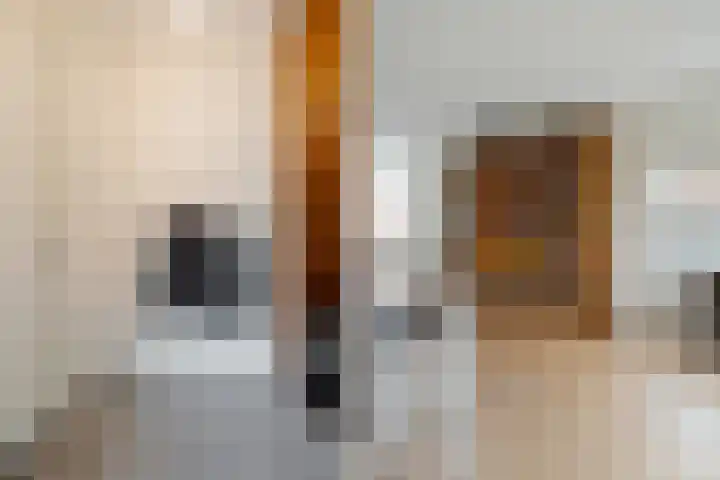Bijenlaar 20 Bavel thumbnail 34