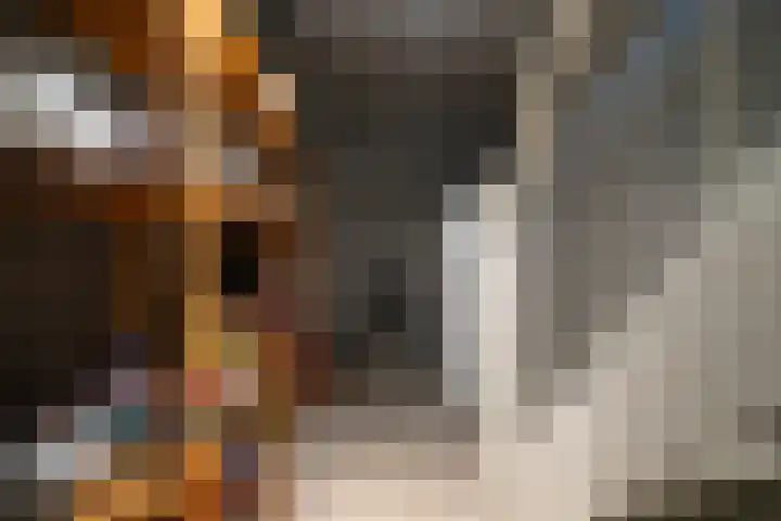 Bijenlaar 20 Bavel thumbnail 35