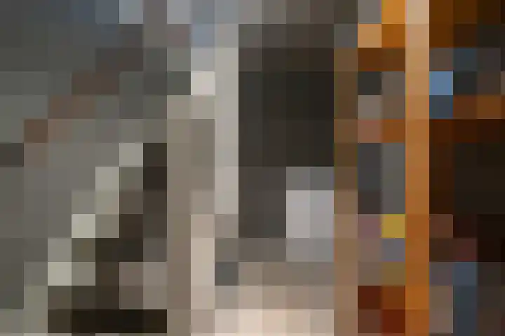 Bijenlaar 20 Bavel thumbnail 36