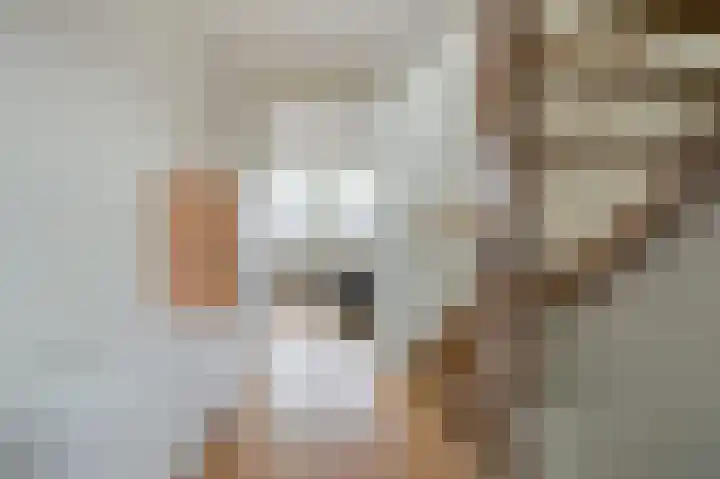 Bijenlaar 20 Bavel thumbnail 37