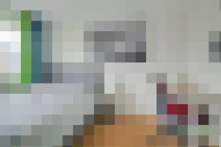 Bijenlaar 20 Bavel thumbnail 44