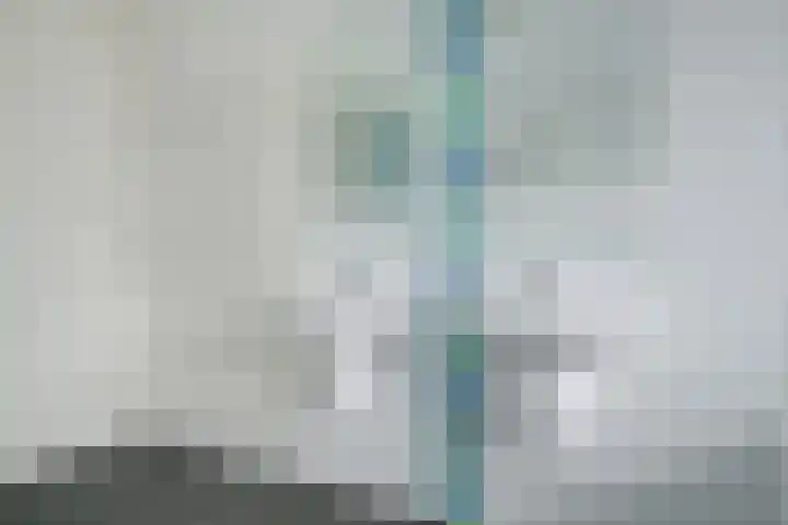 Bijenlaar 20 Bavel thumbnail 48