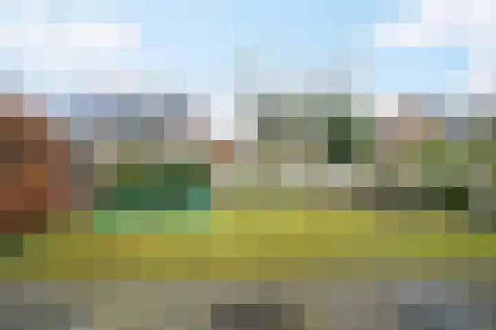 Bijenlaar 20 Bavel thumbnail 5