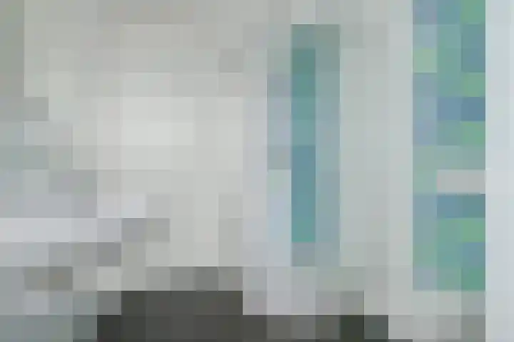 Bijenlaar 20 Bavel thumbnail 58