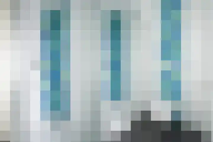 Bijenlaar 20 Bavel thumbnail 59