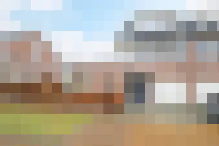 Bijenlaar 20 Bavel thumbnail 61