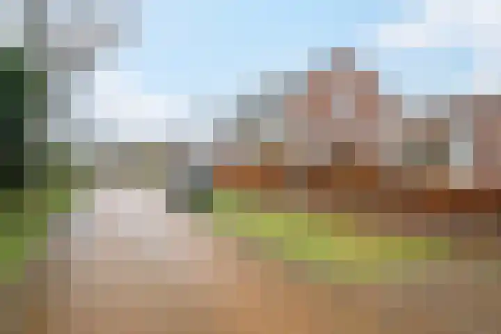 Bijenlaar 20 Bavel thumbnail 62