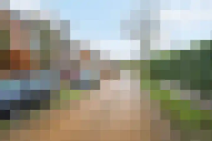 Bijenlaar 20 Bavel thumbnail 63