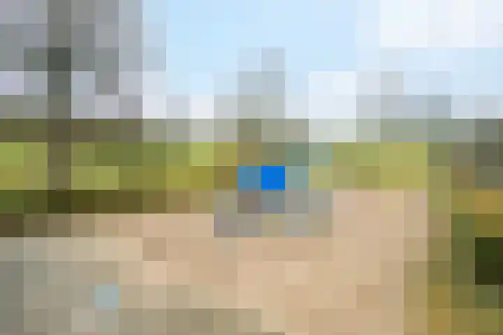Bijenlaar 20 Bavel thumbnail 64