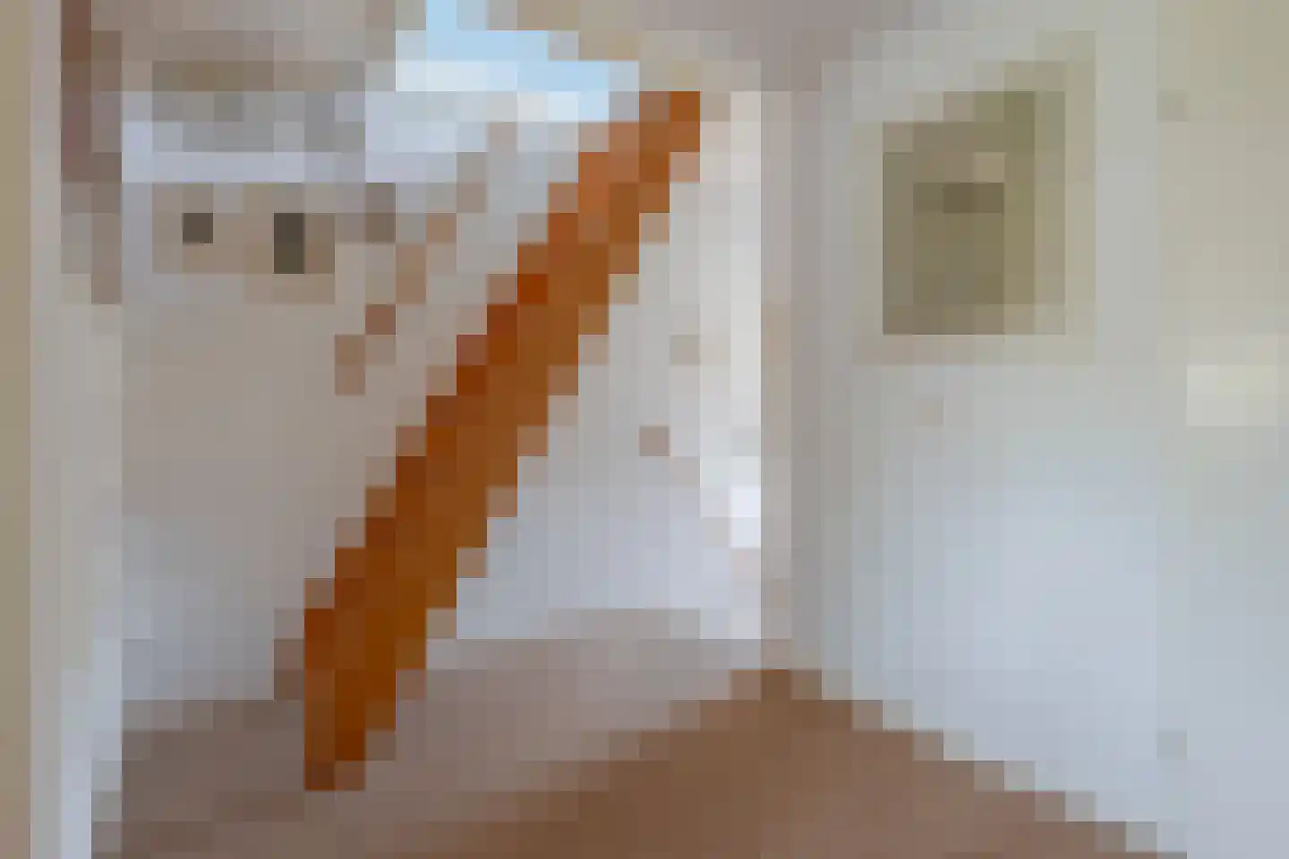 Bijenmeent 109 Hilversum thumbnail 37