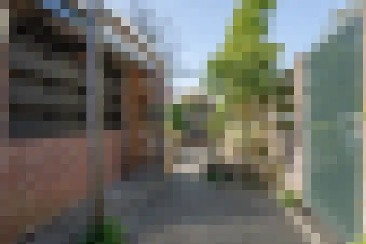 Bijenmeent 109 Hilversum thumbnail 54