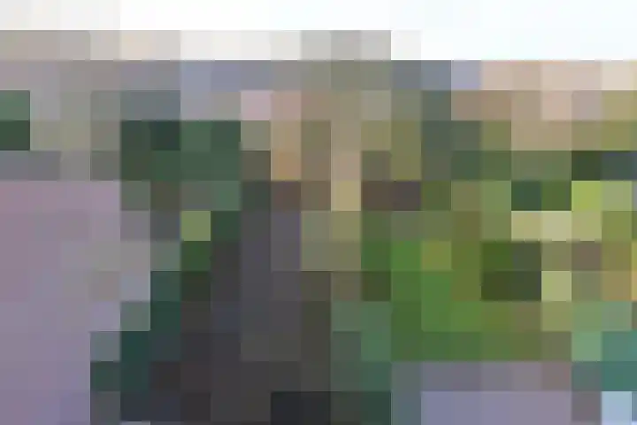 Bijenmeent 116 Hilversum thumbnail 10