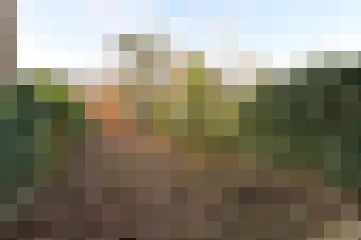 Bijenmeent 116 Hilversum thumbnail 12