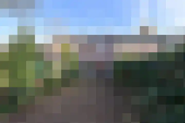 Bijenmeent 116 Hilversum thumbnail 13