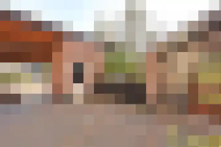 Bijenmeent 116 Hilversum thumbnail 14