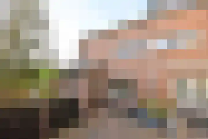 Bijenmeent 116 Hilversum thumbnail 15