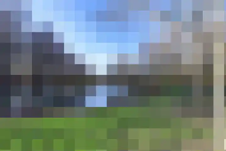 Bijenmeent 116 Hilversum thumbnail 17