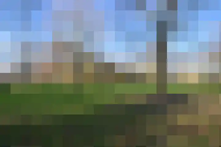 Bijenmeent 116 Hilversum thumbnail 18