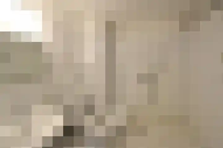 Bijenmeent 116 Hilversum thumbnail 8