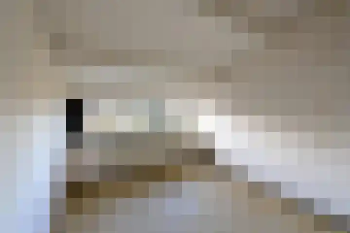 Bijenmeent 116 Hilversum thumbnail 9