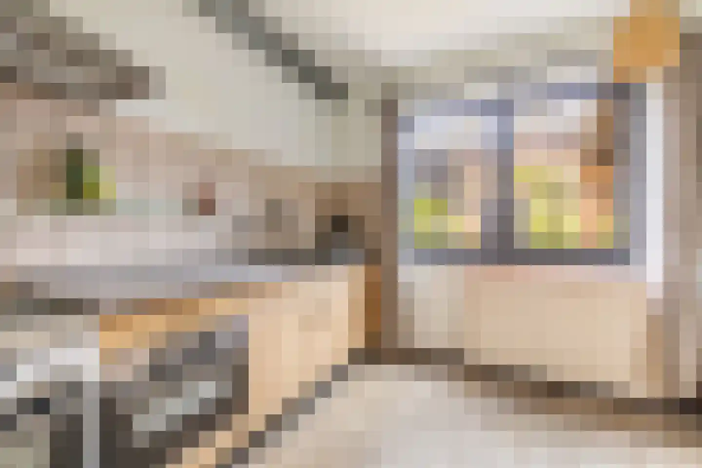 Bijenmeent 118 Hilversum thumbnail 11