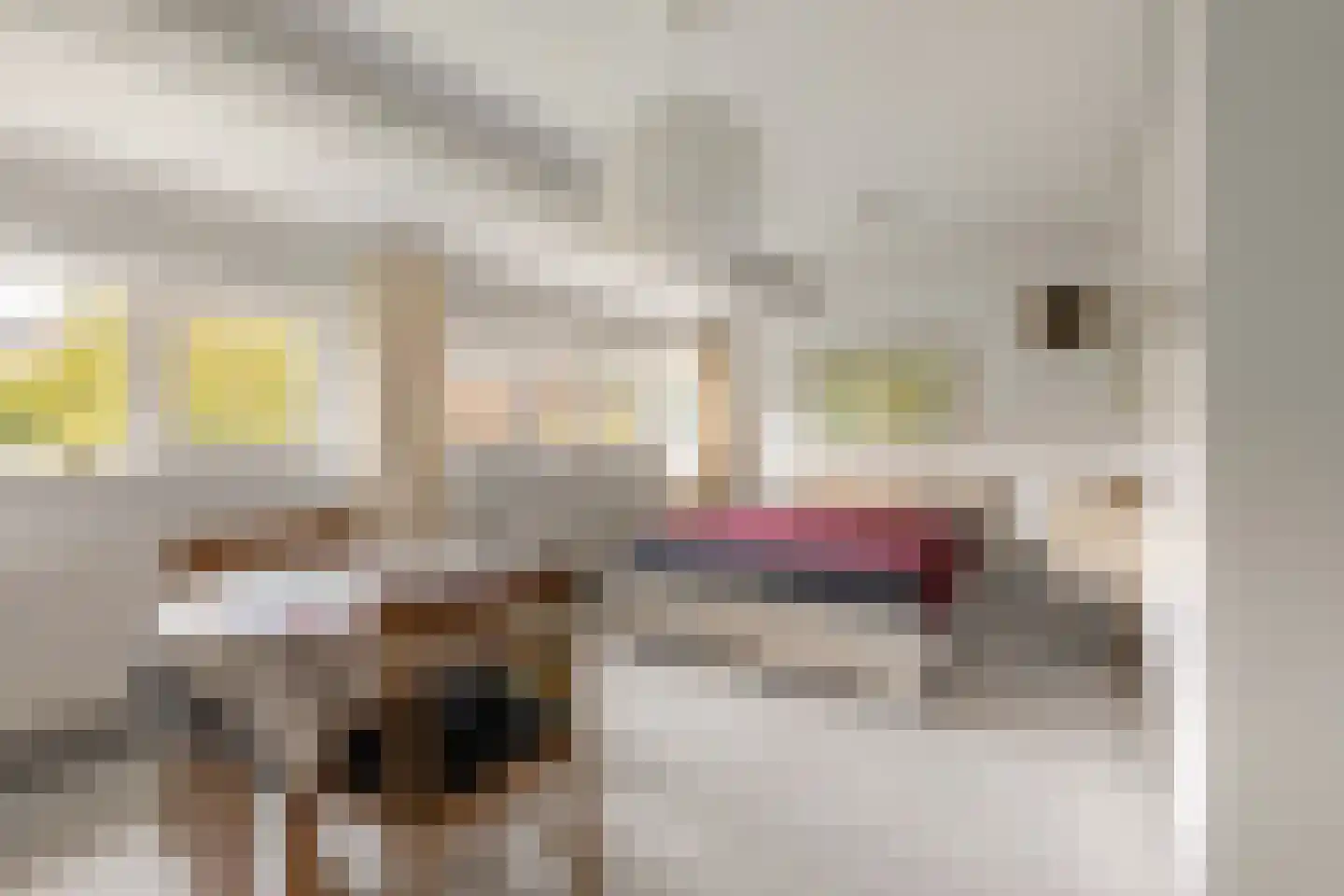 Bijenmeent 118 Hilversum thumbnail 14